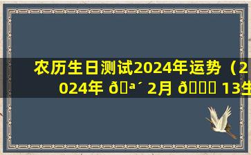 农历生日测试2024年运势（2024年 🪴 2月 🐅 13生日是农历多少）